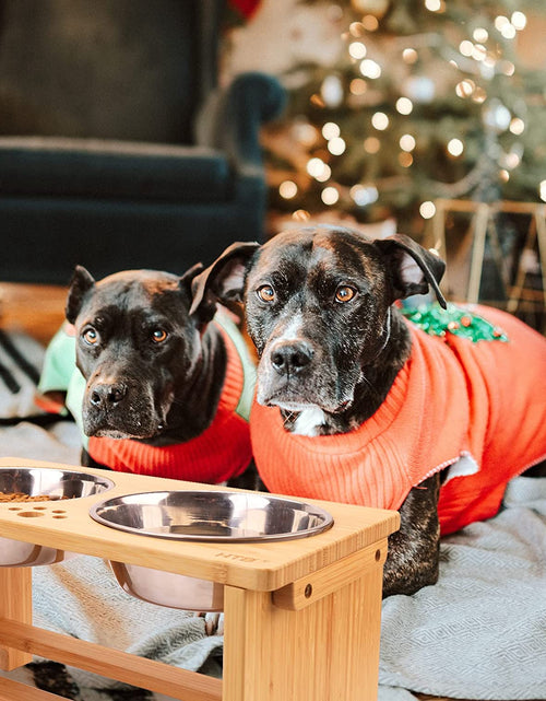 Load image into Gallery viewer, Elevated Dog Bowls,Raised Dog Bowl Stand with 2 Stainless Steel Bowls,Dog Food Water Bowls
